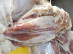 Khô mực câu 60con